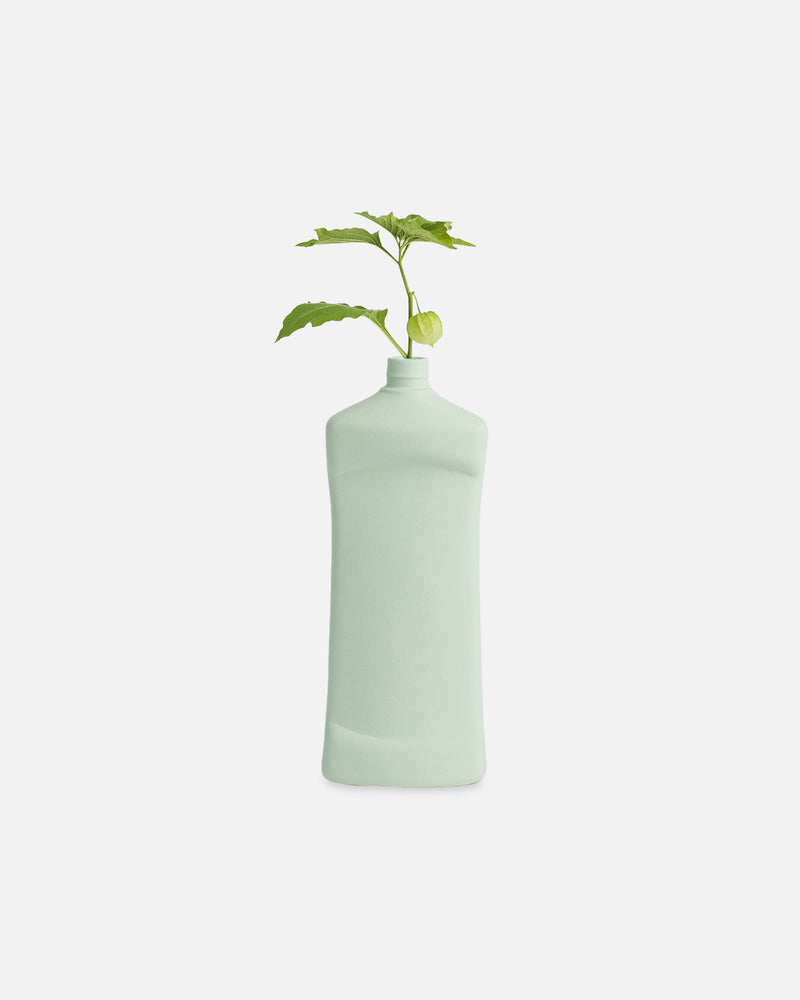 Bottle Vase #14 Mint