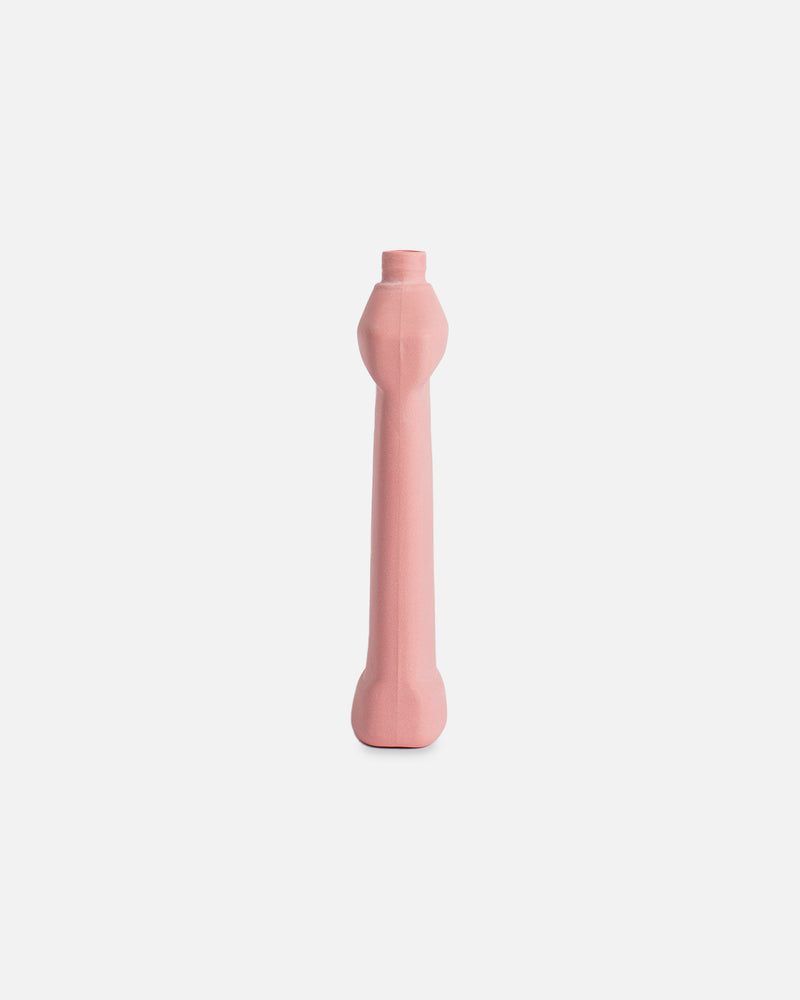 Bottle Vase #14 Blush